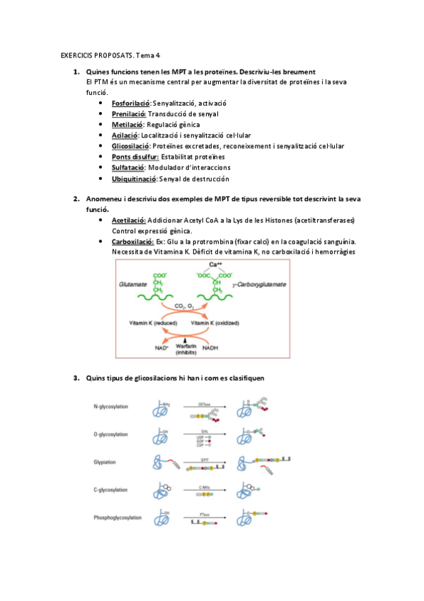 Miniatura del documento EXERCICIS-PROPOSATS.-Tema-4.pdf