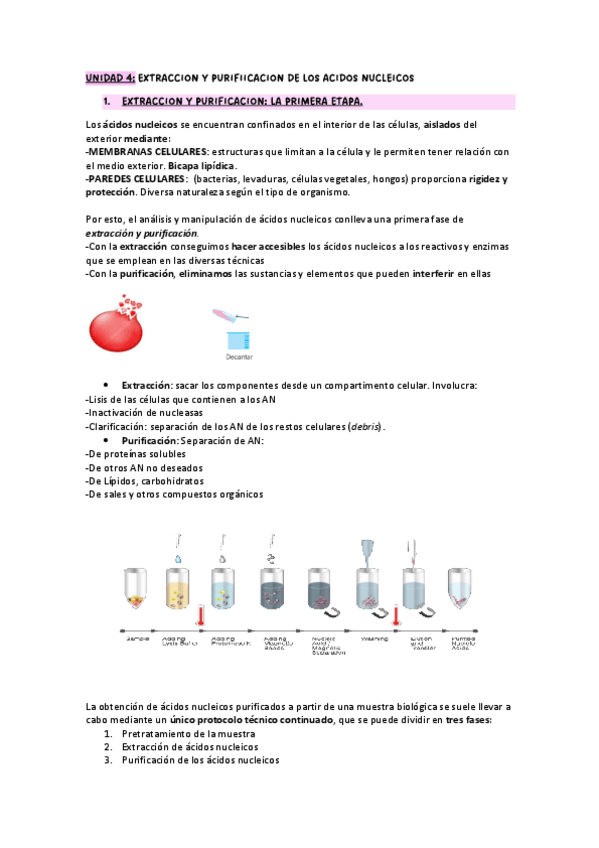 Miniatura del documento UNIDAD-4-BMC-EXTRACCION-Y-PURIFICACION-DE-LOS-ACIDOS-NUCLEICOS.pdf
