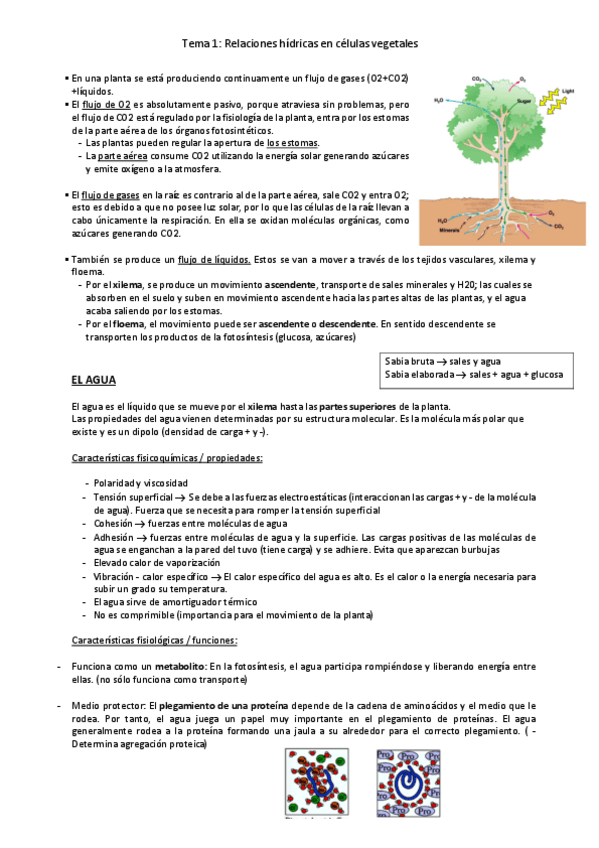 Miniatura del documento tema-1.pdf
