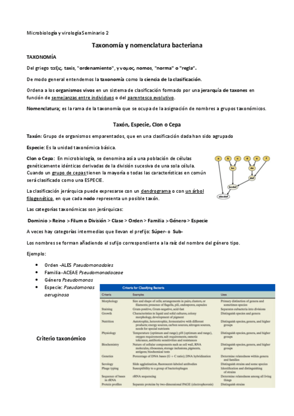 Miniatura del documento SM2-Taxonomia-y-nomenclatura-bacteriana.pdf