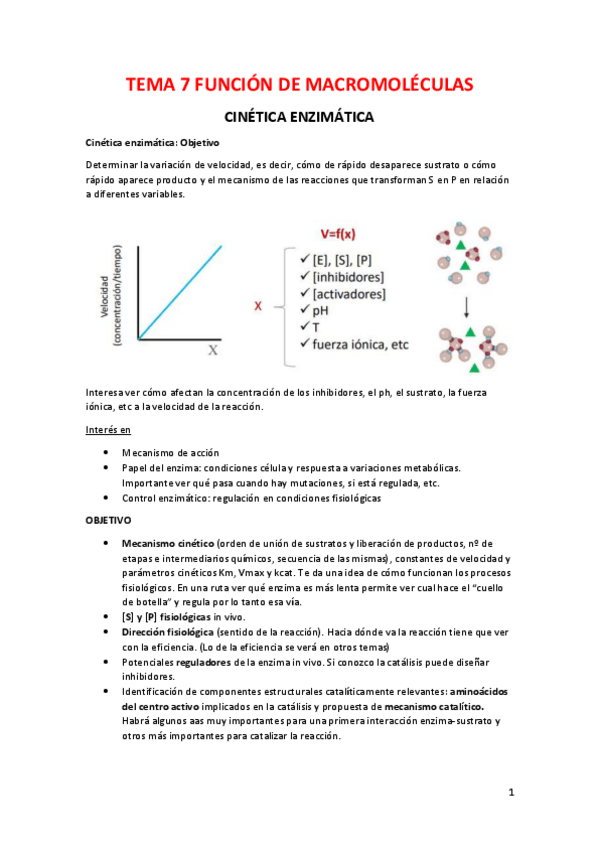 Miniatura del documento TEMA-7-FM.pdf