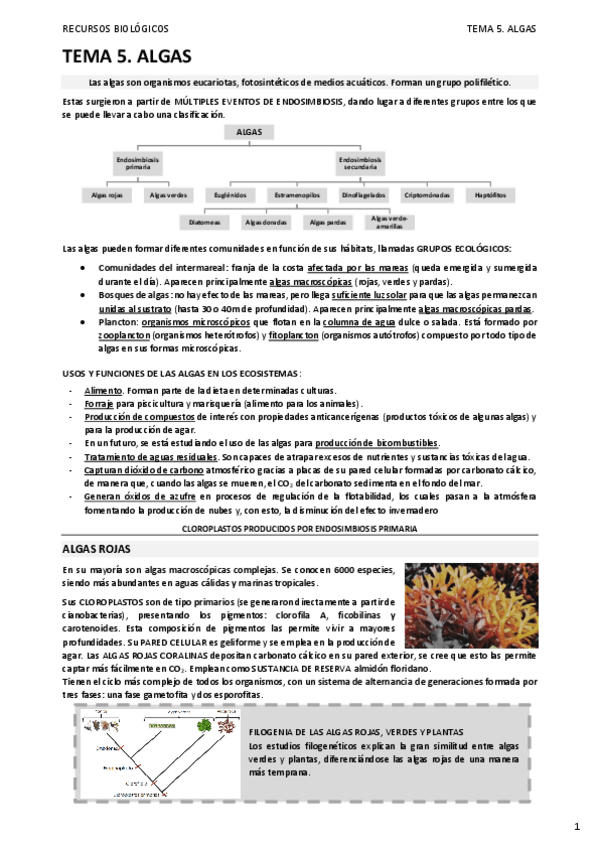 Miniatura del documento 05.-ALGAS.pdf