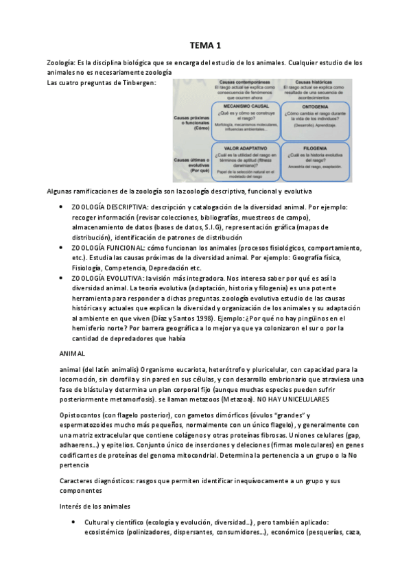 Miniatura del documento ZOO-PRIMER-PARCIAL-1-8b.pdf