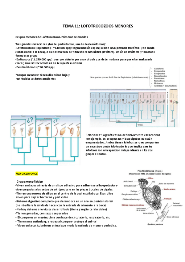 Miniatura del documento ZOO-SEGUNDO-PARCIAL-11-21.pdf