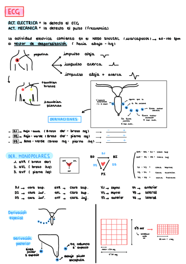 Miniatura del documento Apuntes-ECG.pdf