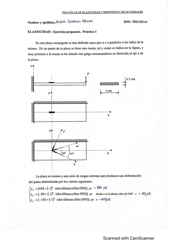Miniatura del documento Ejercicio-Propuesto-PL1-REM.pdf