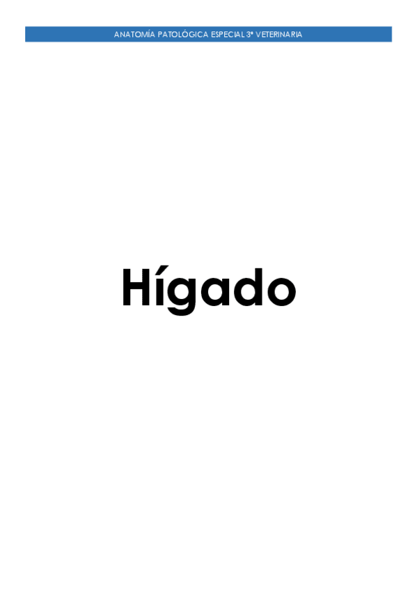 Miniatura del documento Higado.pdf