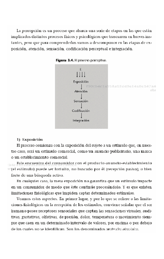 Miniatura del documento yoPercepcion-Manualconvertedbyabcdpdf.pdf