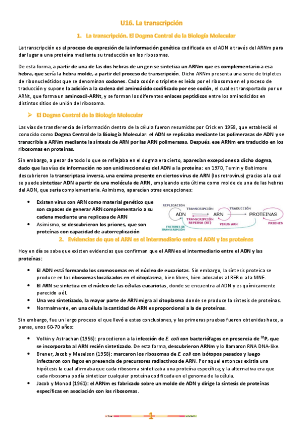 Miniatura del documento U16.-La-transcripcion.pdf