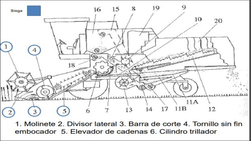 Miniatura del documento NOMBRE-MAQUINARIApregunta-de-teoria-si-o-sipptx.pdf