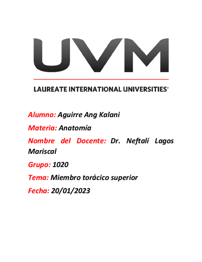 Miniatura del documento Anatomia-3.1-miembro-superior.pdf