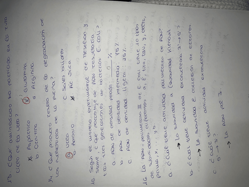 Miniatura del documento EXAMEN-1.jpg