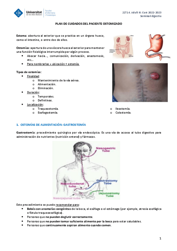 Miniatura del documento ADULT-III-SEMINARI-1.pdf