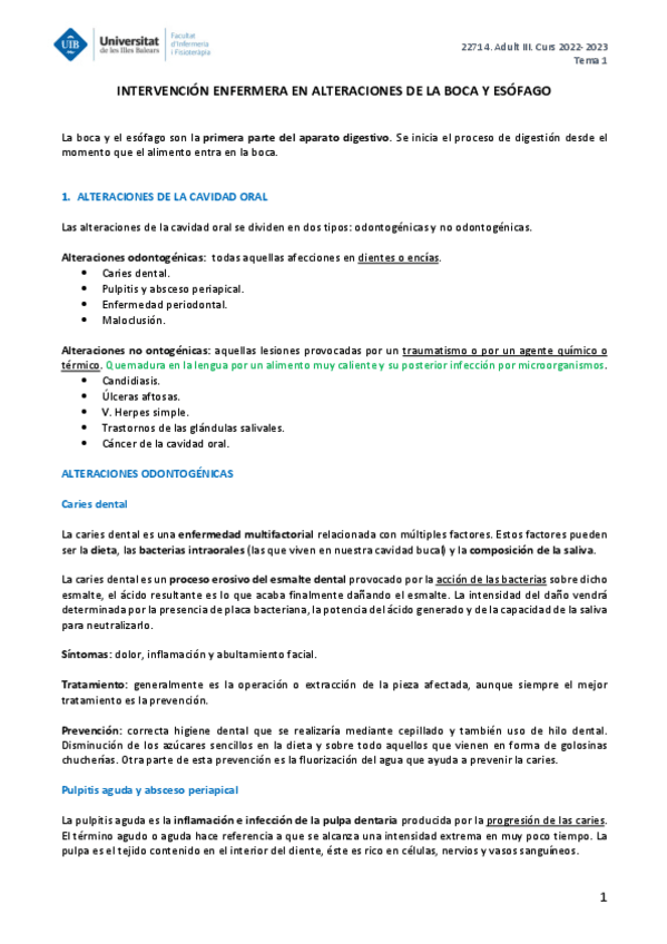 Miniatura del documento ADULT-III-TEMA-1.pdf