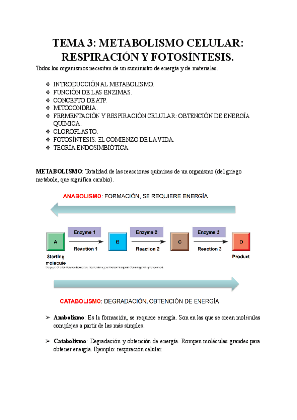 Miniatura del documento TEMA-3-METABOLISMO-CELULAR.pdf