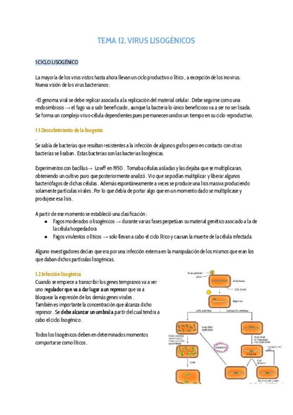 Miniatura del documento TEMA12.VIRUS-LISOGENICOS.pdf
