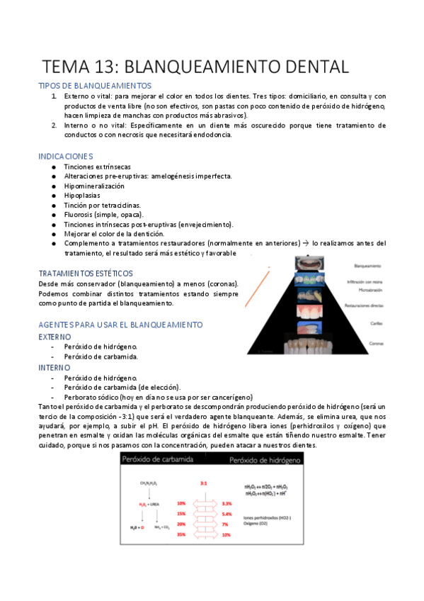 Miniatura del documento TEMA-13-PTD.pdf