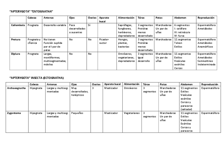 Miniatura del documento Tabla resumen todos los insectos.pdf