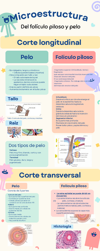 Miniatura del documento Infografias-sem2.pdf