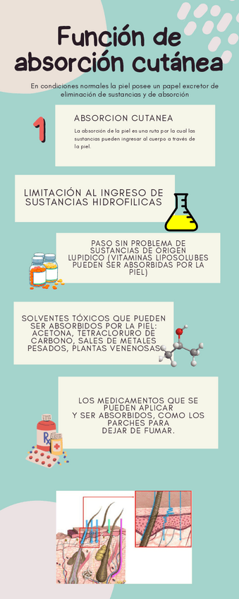 Miniatura del documento Infografia-Sm05.pdf