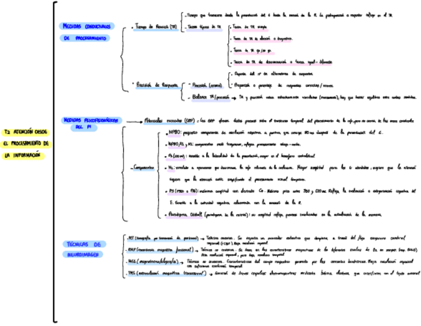 Miniatura del documento Atencion-esquema-tema-2-parte-dos.pdf