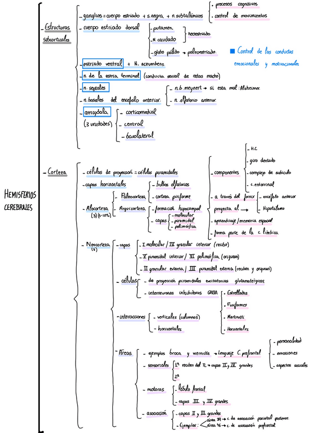 Miniatura del documento H.cerebrales-esquema.pdf