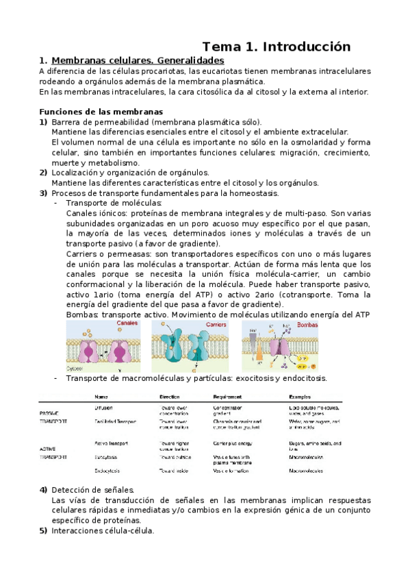 Miniatura del documento Teoría completa 2017-18.docx