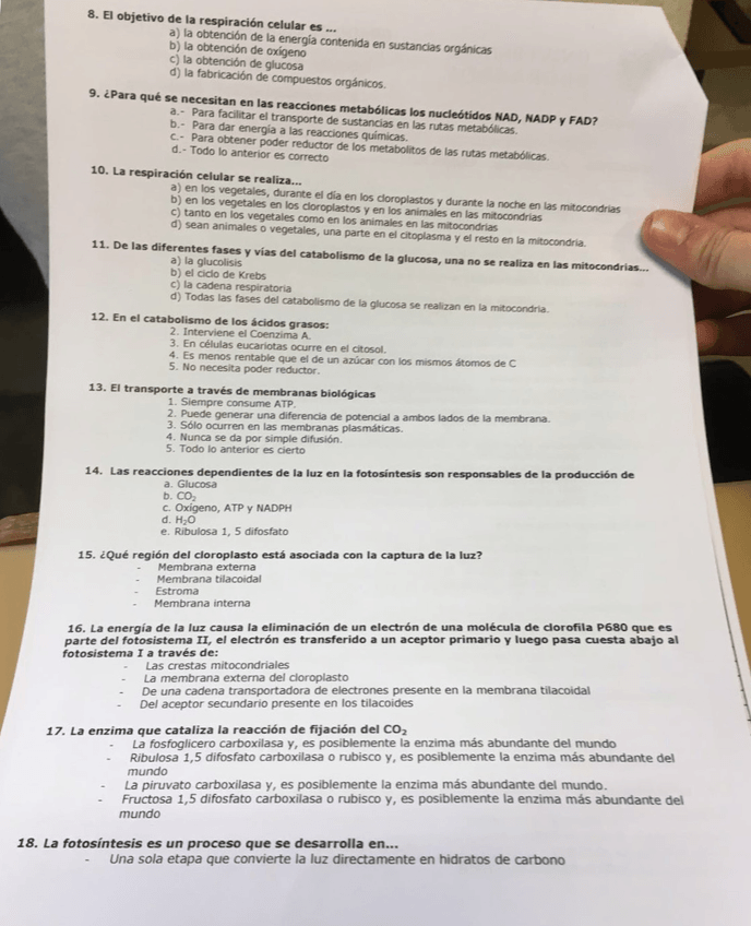 Miniatura del documento B8270A7E-933E-4AF7-82DC-C8CFDC6CC908.jpeg