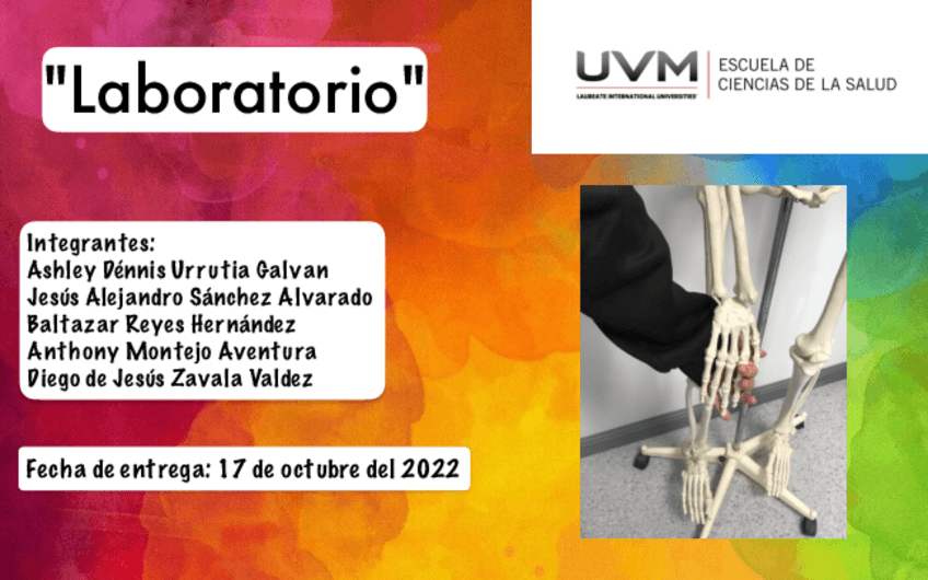 Miniatura del documento file-2.pdf