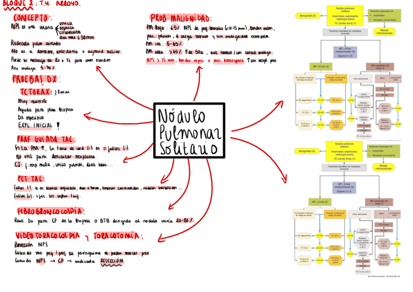 Miniatura del documento Nodulo-pulmonar.pdf