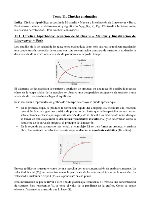 Miniatura del documento Tema-11-Cinetica-enzimatica.pdf