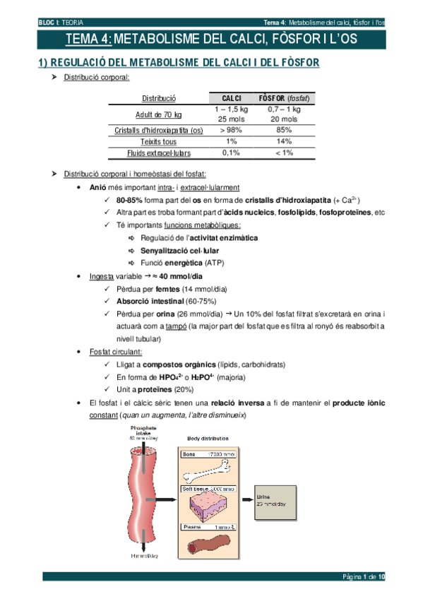 Miniatura del documento TEMA-4-BQ-classe-inversa.pdf