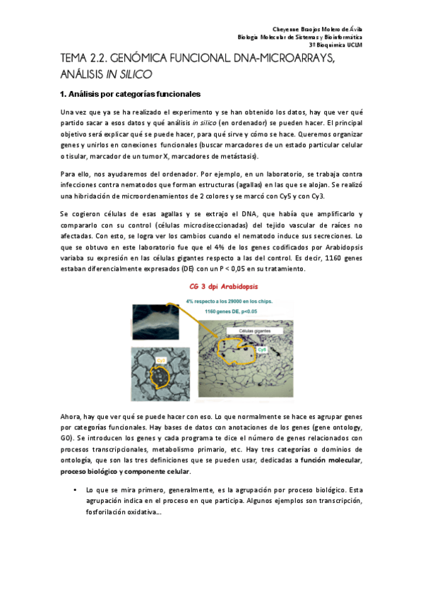 Miniatura del documento Tema 2.2 Genómica funcional (1) FINAL.pdf