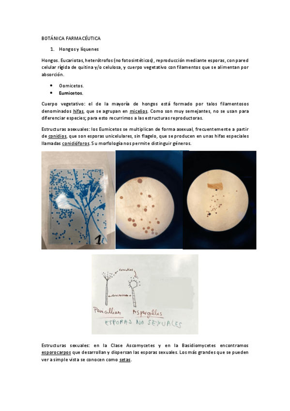 Miniatura del documento Apunte de clase (prácticas).pdf