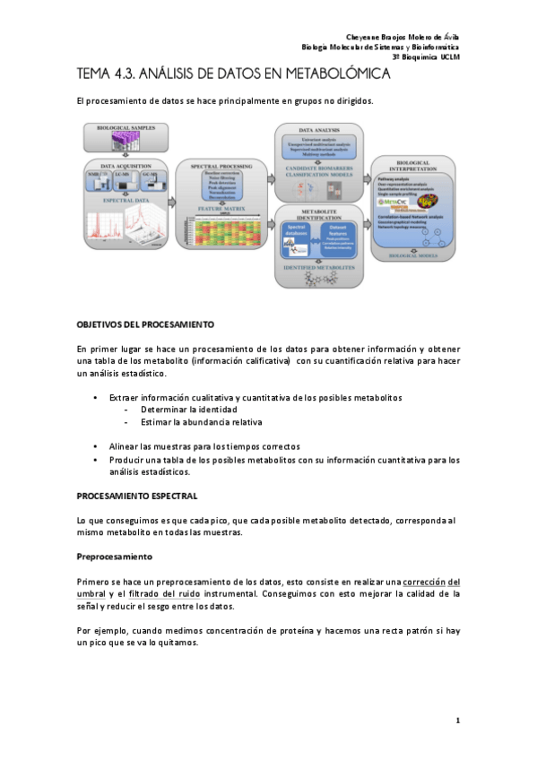 Miniatura del documento tema 4.3 final bueno.pdf