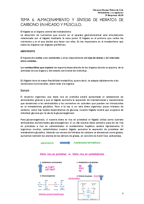 Miniatura del documento TEMA 6 metabolismo FINAL.pdf