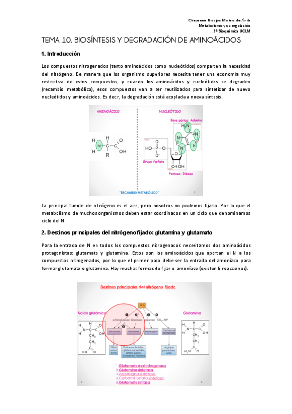Miniatura del documento TEMA 11 FINAL.pdf