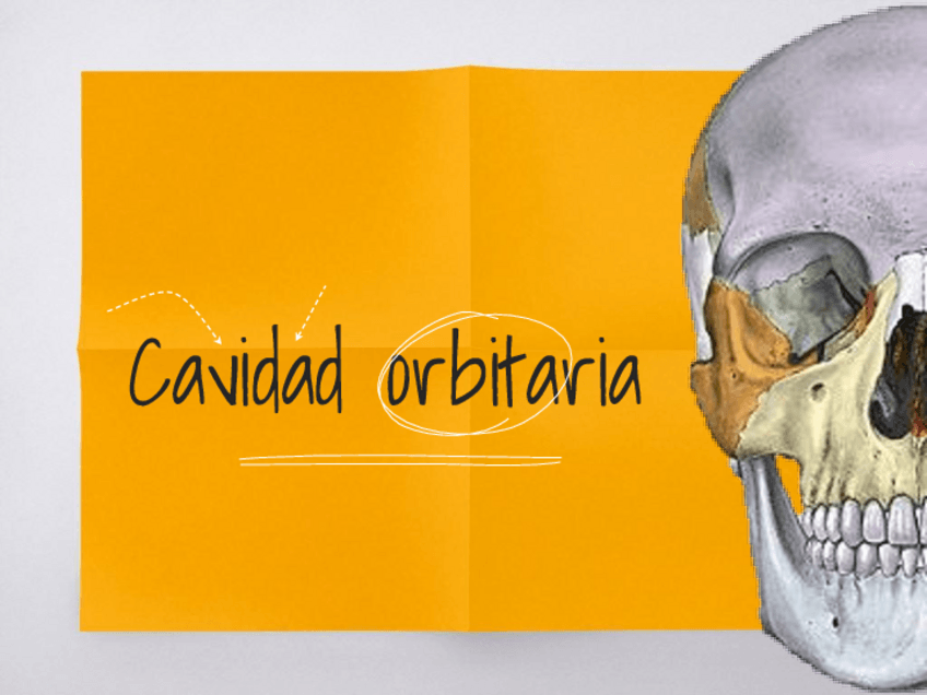 Miniatura del documento Orbita.pdf