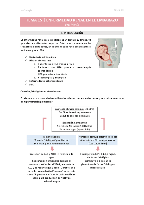 Miniatura del documento TEMA-15.-Enfermedad-renal-en-el-embarazo.pdf