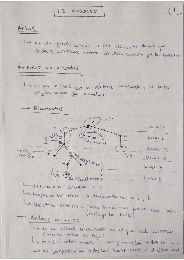 Miniatura del documento TEMA-3-RESUMIDO Y EJEMPLOS.pdf