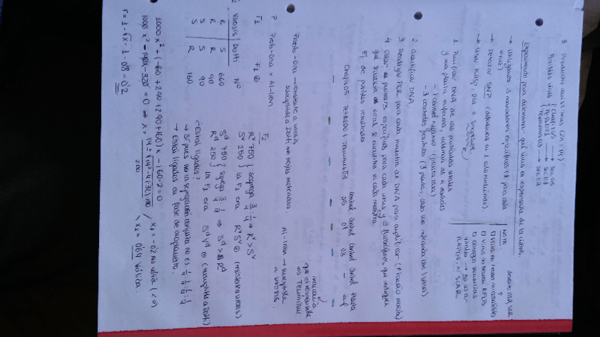 Miniatura del documento Marcadores Moleculares.pdf