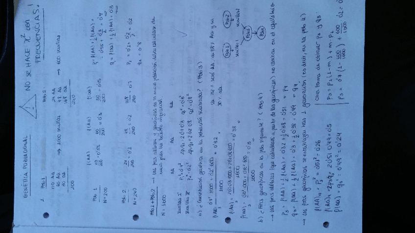 Miniatura del documento Poblaciones.pdf