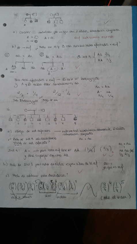 Miniatura del documento Mendelismo2.pdf