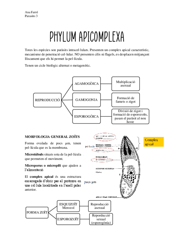 Miniatura del documento Parasito-3.pdf