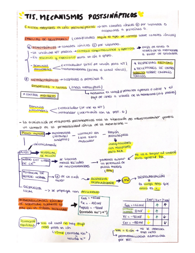 Miniatura del documento T15..pdf