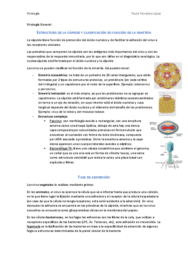 Miniatura del documento Posibles-preguntas-micro-II-virologia.pdf