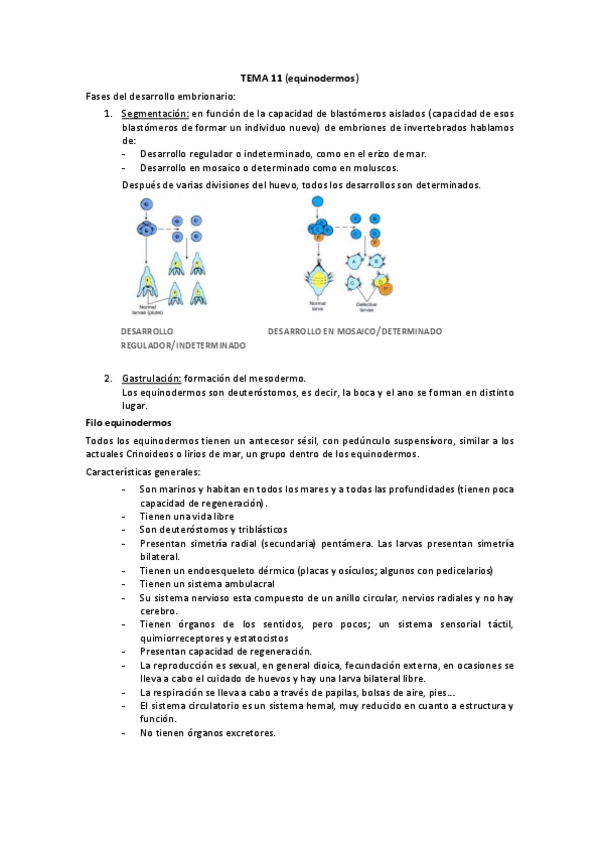 Miniatura del documento TEMA-11.pdf
