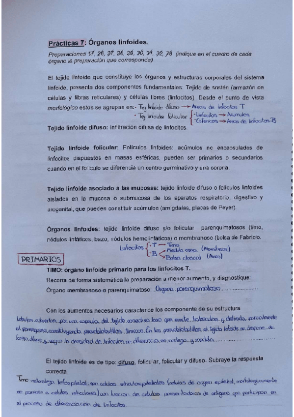 Miniatura del documento Practica-7-3oparcial.pdf