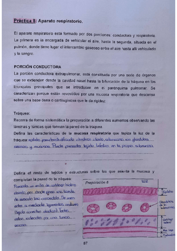 Miniatura del documento Practica-8-3oparcial.pdf