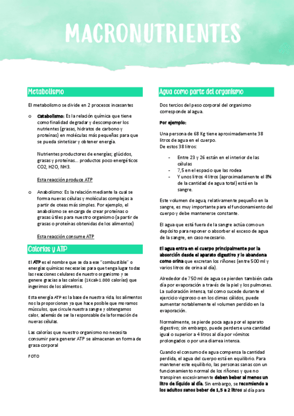 Miniatura del documento T3-Macronutrientes.pdf
